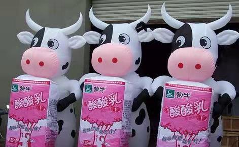 琼中牛奶厂广告气模